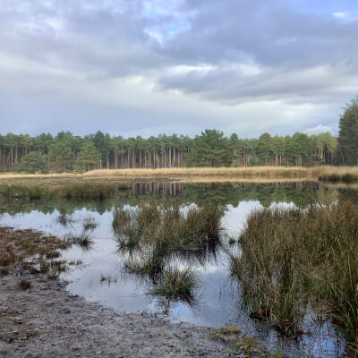 WORKSHOP - Verborgen veerkrachtpad Gerhagen WORKSHOP - Verborgen veerkrachtpad Gerhagen